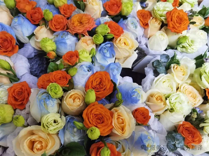 致語言的造夢者 —— 一百分翻譯向女神們致敬 致語言的造夢者 —— 一百分翻譯向女神們致敬