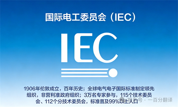 中外標準咨詢服務